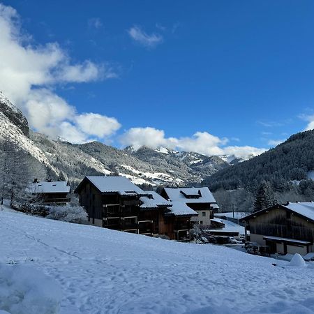 Appartement Cosy Proche Chatel Portes Du Soleil - Linge Inclus Abondance Ngoại thất bức ảnh