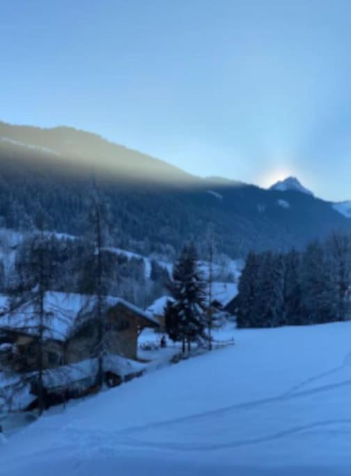 Appartement Cosy Proche Chatel Portes Du Soleil - Linge Inclus Abondance Ngoại thất bức ảnh
