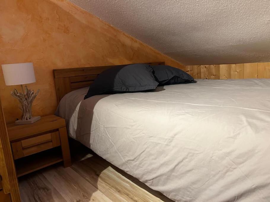 Appartement Cosy Proche Chatel Portes Du Soleil - Linge Inclus Abondance Ngoại thất bức ảnh